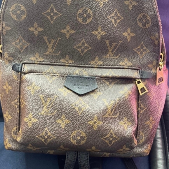 Louis Vuitton Palm Springs PM - Picture 13 of 13